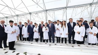 Kocaelide öğrenciler topraksız tarım Ar-Ge serasında çilek yetiştiriyor