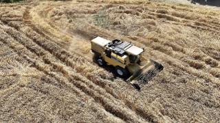 Mudanya belediyesinde topraktan halka, tarladan sofraya buğday unu