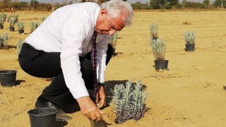 Ödemiş Belediyesinden “Tıbbi-Aromatik Bitki Bahçesi” hamlesi