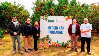 Metro Türkiye, Coğrafi İşaret Tesciline Aday Mersin Kan Portakalının İzinde!