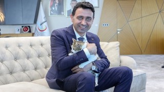 Bayraklı Belediye Başkanı İrfan Önal, yaralı kediye sahip çıktı &apos;sahiplenme çağrısı yaptı