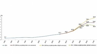 İstatistiklerle Yaşlılar, 2025