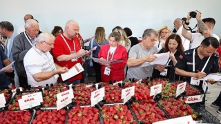 Çilek tadında festival, milyonu aşkın misafir ağırladı