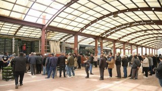 Kahramankazanlı Çiftçilere Fide Desteği Verildi