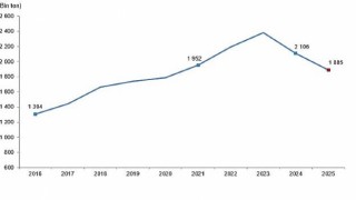 Kırmızı Et Üretim İstatistikleri, 2025