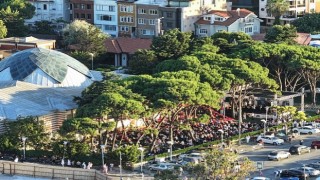 Altın Karınca Ödüllü