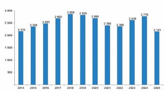 Sinema ve Gösteri Sanatları İstatistikleri, 2025