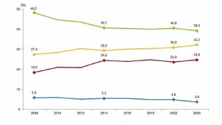 Türkiye Sağlık Araştırması, 2025