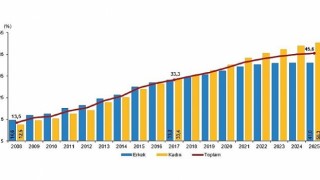 Ulusal Eğitim İstatistikleri, 2025