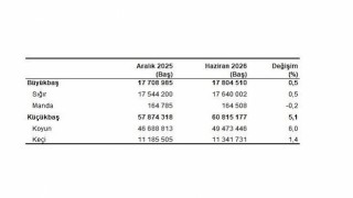 Hayvancılık İstatistikleri, Haziran 2026